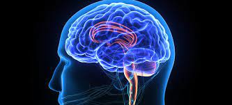 Brain implant can eliminate depression